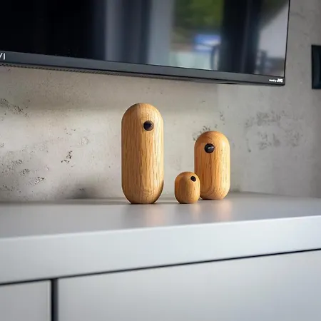 Hofmana F1 Invest 아파트 스클라르스카포렘바