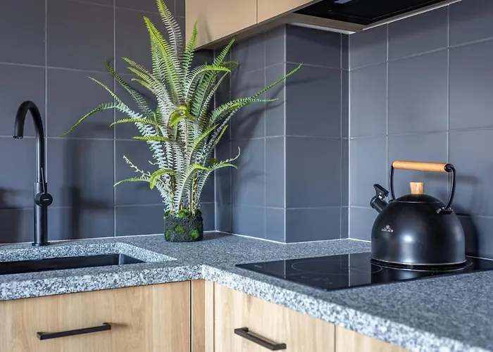 Hofmana F1 Invest * Schreiberhau