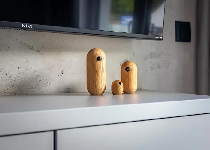 Hofmana F1 Invest Apartment Schreiberhau