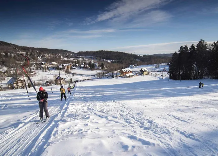 Hofmana F1 Invest Apartment